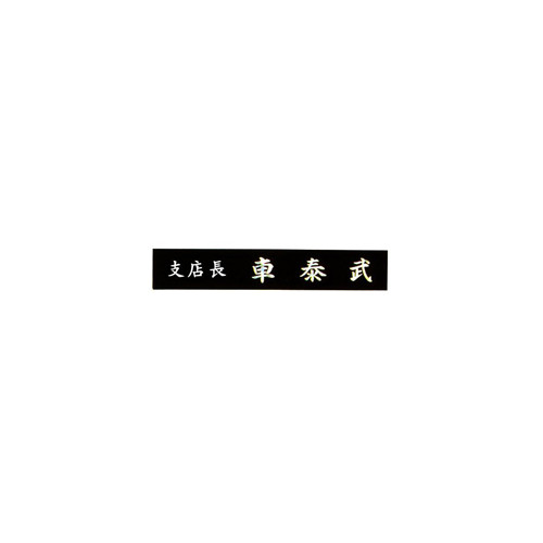 30 삼각자개명패