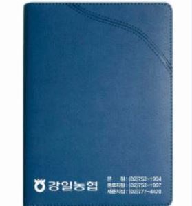 25절 스프링다이어리-1